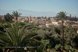 Image du Maroc Professionnelle de  Une vue des toits de la Médina de Marrakech la ville rouge prise de l'hotel la Mamounia. Au fond les la chaine de montagne les Jbilates, Mercredi 16 Mars 1994. (Photo / Abdeljalil Bounhar) 